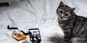 7 brilliant tips to sell more on Instagram in 2020.