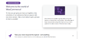 Now On WooCommerce: Socialhead Supports WooCommerce Businesses to Skyrocket Sales Across Channels