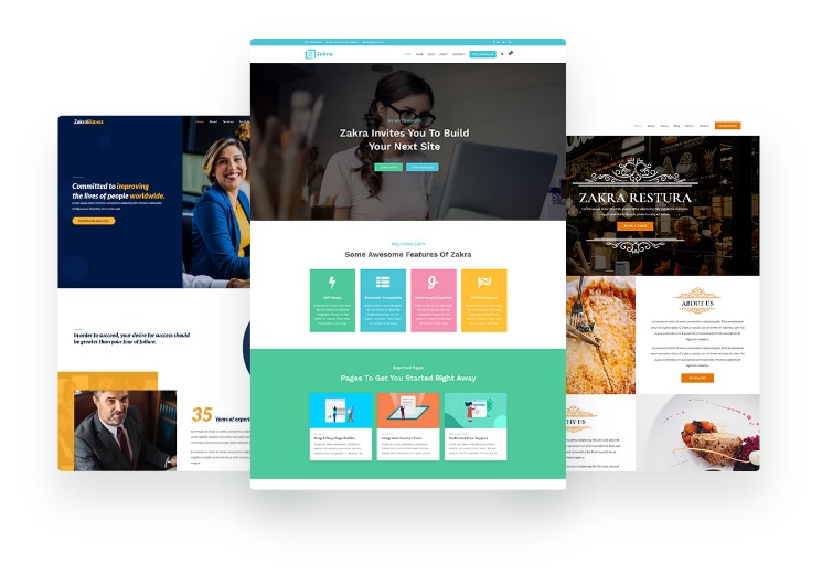 Make your blog look professional with Zakra