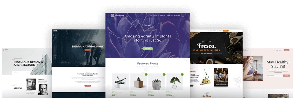 Creating your website theme with Astra