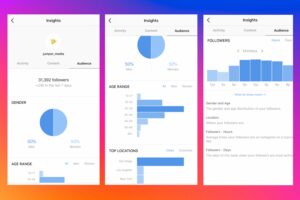 Audience insights help you break data into detailed information to manage Instagram followers easier