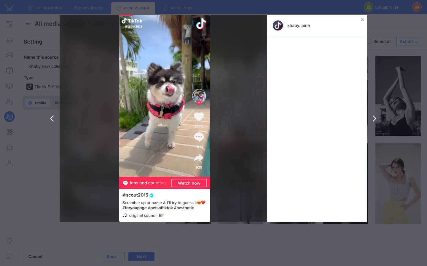 Your TikTok videos are imported to Socialwidget as media items