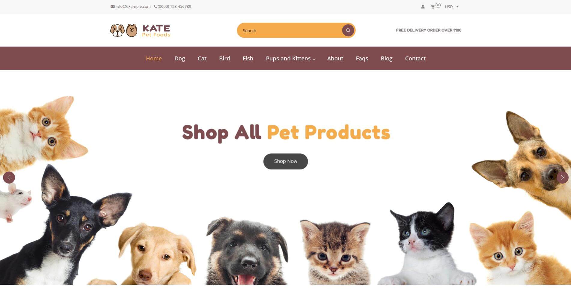 Want to bring exploding visual elements to liven up your store? Kate should be your top pick!